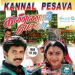 Kannaal Pesavaa movie poster