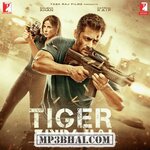 Tiger Zinda Hai movie poster