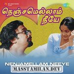 Nenjamellam Neeye movie poster