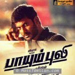 Paayum Puli 2015 movie poster