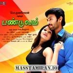 Panduvam movie poster